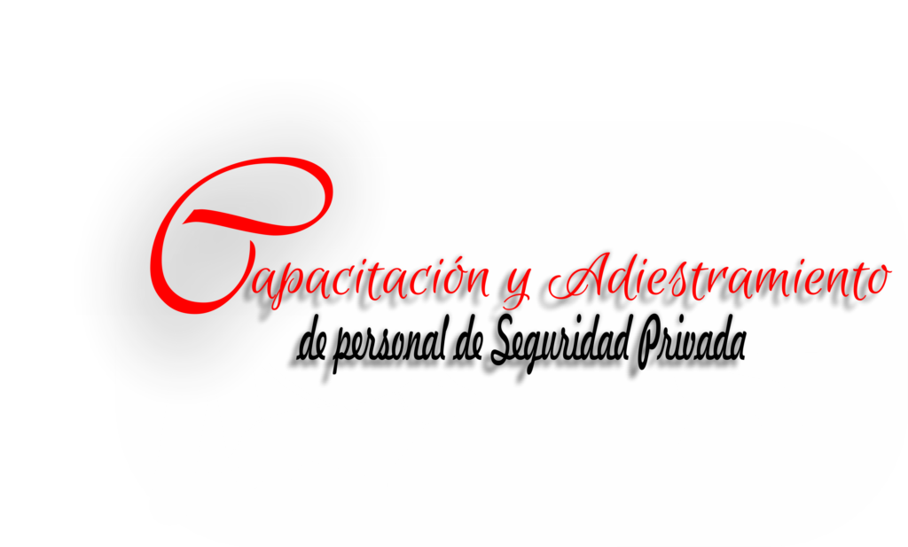seguridad privada